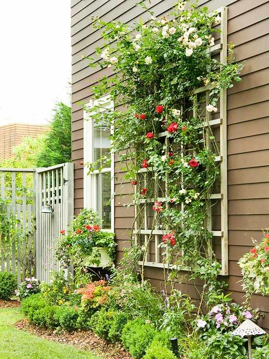 Casa de madeira treliça de rosas loteamento jardim entrada da casa