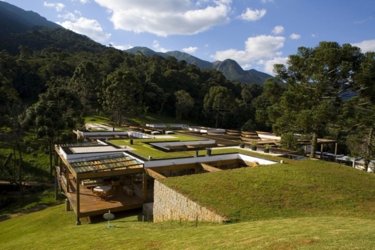 Plantas para telhados verdes-casa-declive-telhado verde