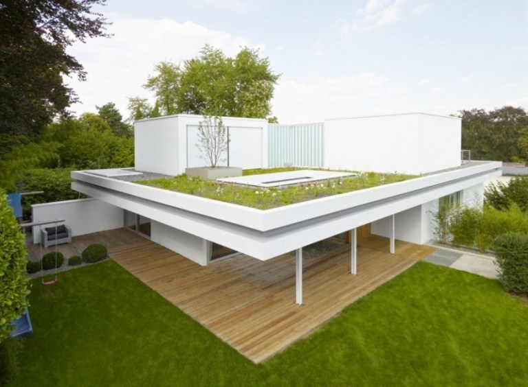 Plant-roof-greening-roof-garden