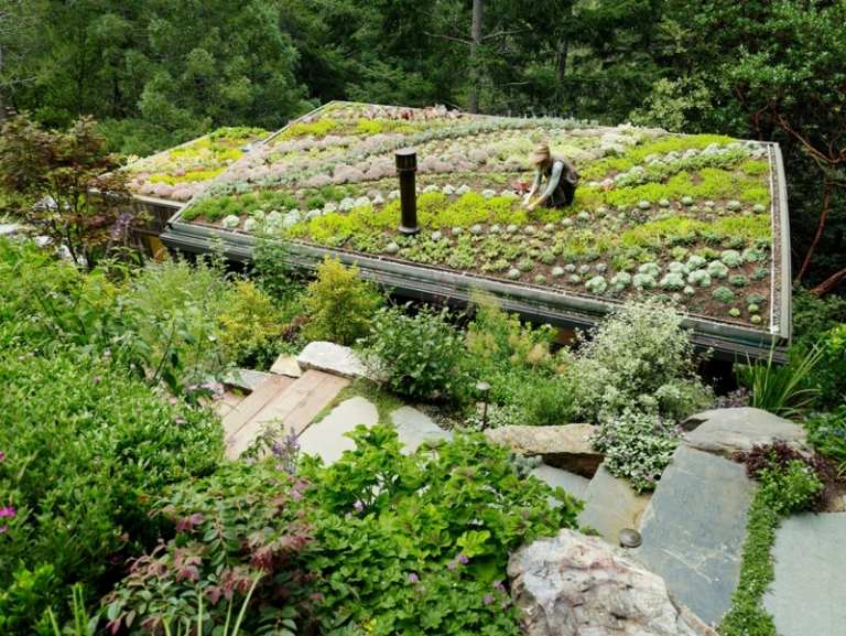 Plantas-telhados verdes-garagem-plantas suculentas-vegetais