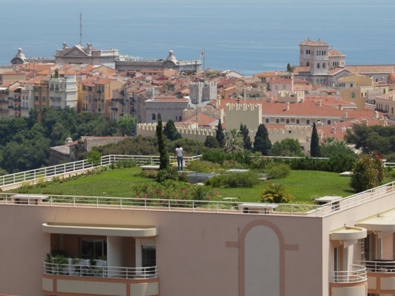 Casa unifamiliar com jardim no telhado verde de plantas