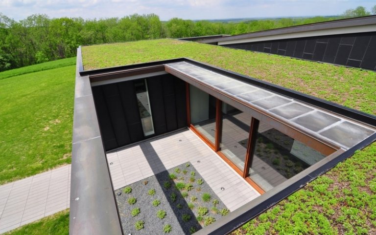 Plantas - telhados verdes - proteção solar no gramado
