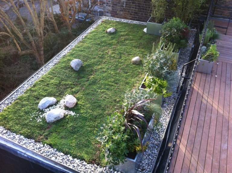 Plantas - telhado verde - jardim de pedras - planta suculenta - cascalho