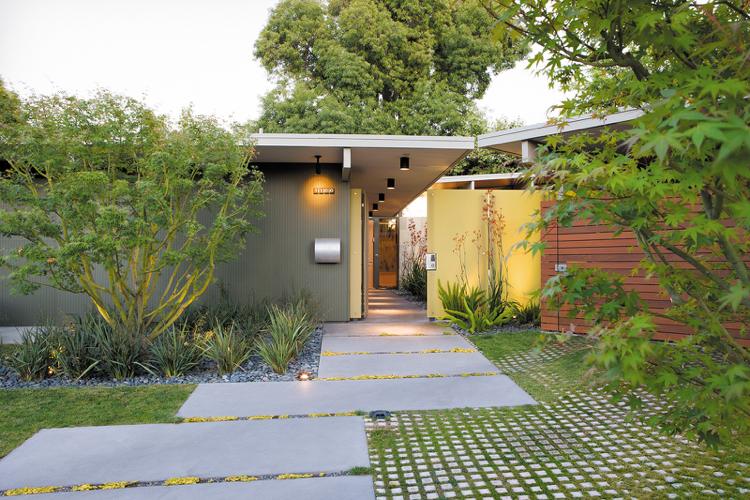 green-joint-pavement-concrete-slabs-yellow-ground cover