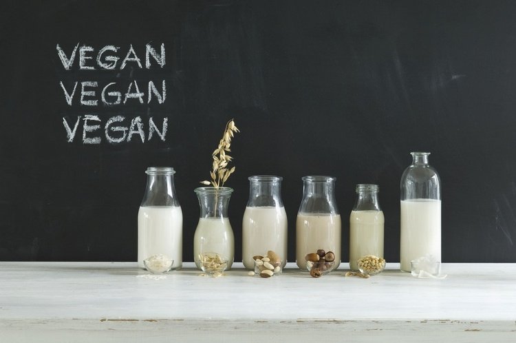 alternativas de leite vegetal feitas de nozes e grãos