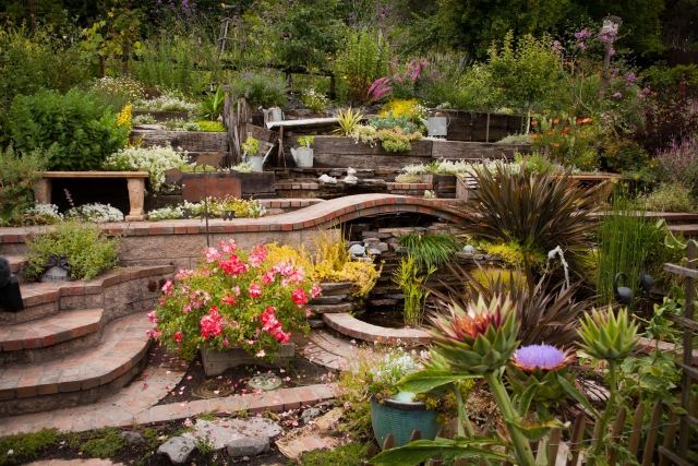 plantas de design de jardim de fácil manutenção necessidades de água pináculos lagoa