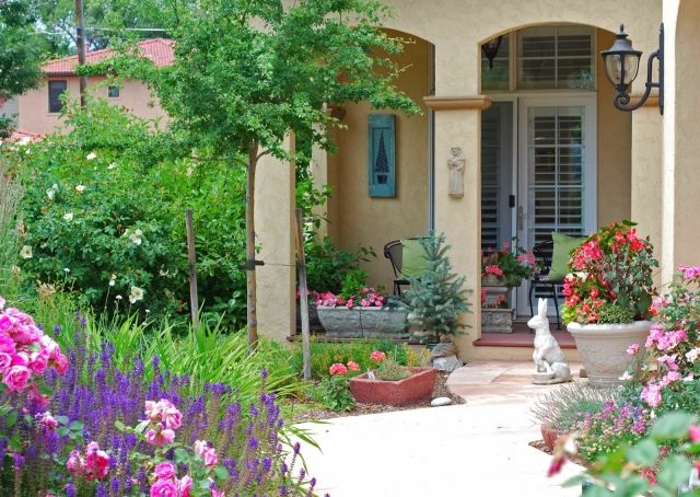 Antes de ajardinar, plante rosas lavanda