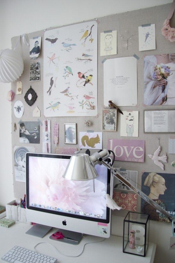 Pin board fotos do escritório doméstico e cores brilhantes dos pássaros do pc
