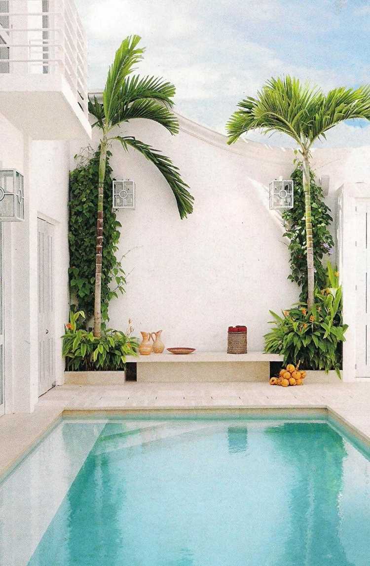 piscina-pequeno-jardim-plantas-ideia-econômica-quadrada-piscina