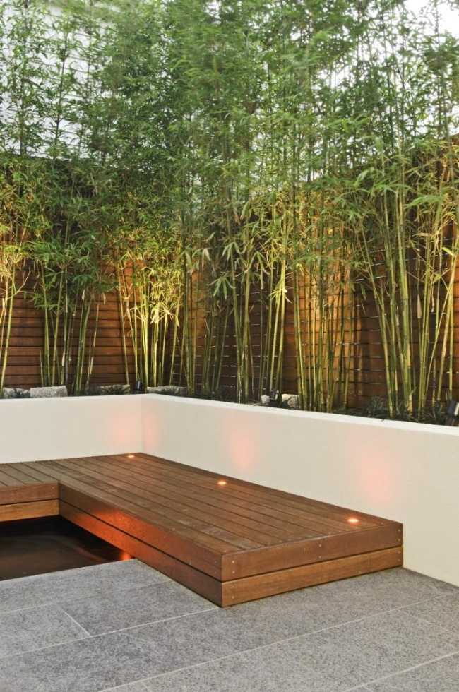 iluminação jardim pátio design-tela de privacidade bambu-ponte de madeira