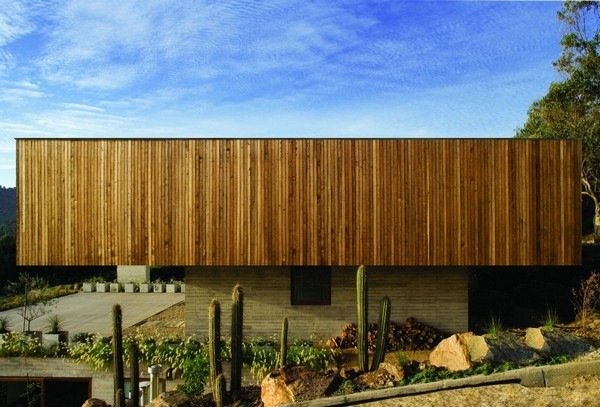 Casa de arquiteto com fachada de madeira de cactos exóticos no jardim