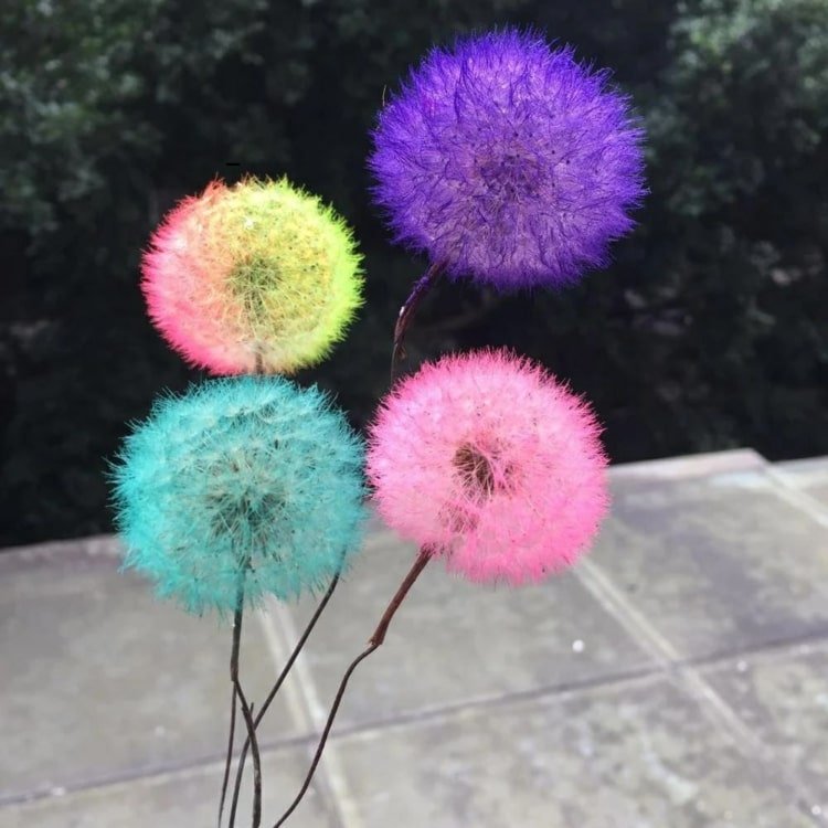 Decoração dente de leão em cores brilhantes - colorir flores com corante alimentar