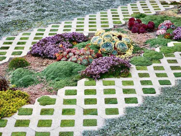 Pedras de pavimentação de gramado que colocam o pavimento de gramado pedras de gramado garagem entrada tipos de planta grama flores vegetação crescimento suculentas