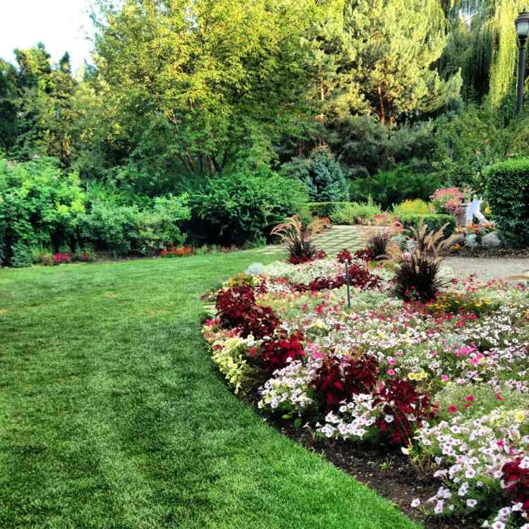 gramado-edging-jardim-inglês-design-claro-flores-colorido