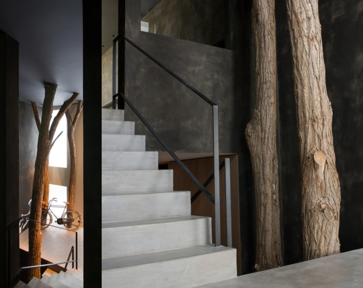 cultivo de casa na árvore em cor de antracite