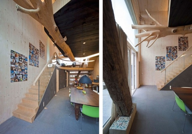 Casa geminada com decoração de tronco de árvore de diferentes ângulos