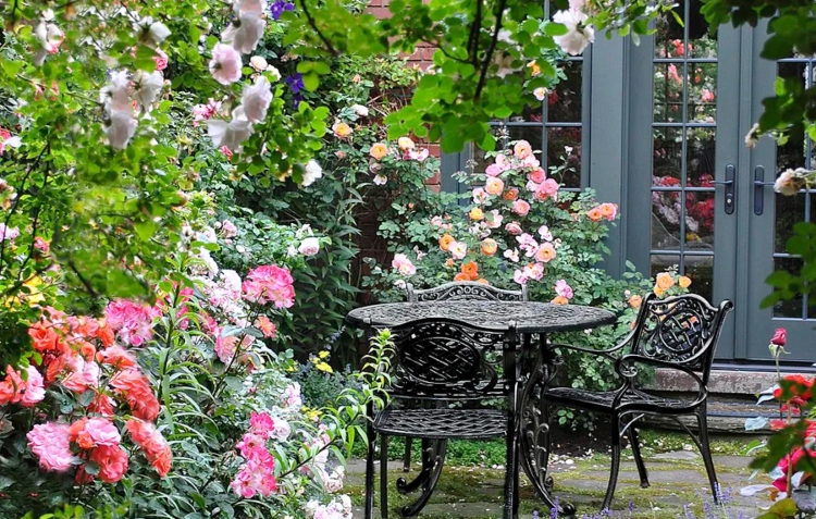 Rosas para plantas perenes com sombra parcial e trepadeiras ao redor do terraço