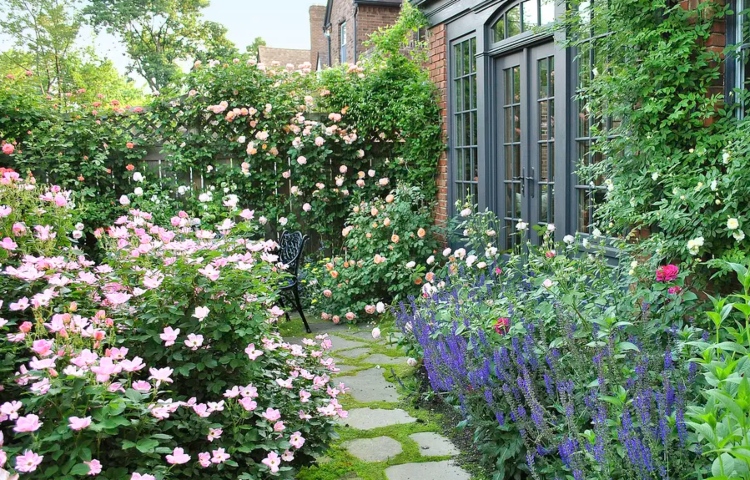 Quais rosas toleram ideias de sombra parcial para jardim natural