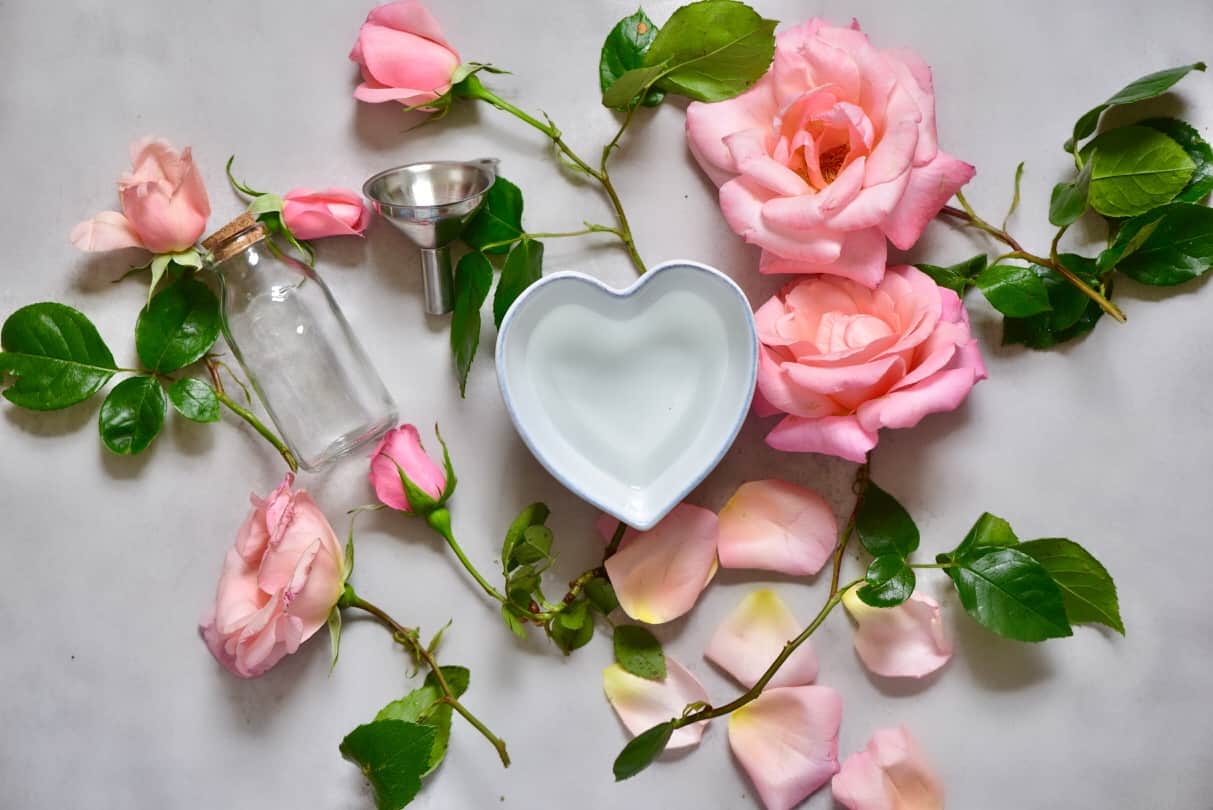 Faça você mesmo água de rosas Instruções de DIY pétalas de rosa cuidados para o rosto cosméticos naturais pele seca