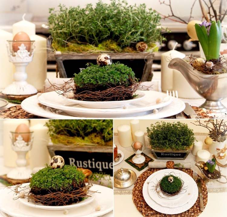 decoração de mesa-rústico-primavera-agrião-ovo de codorna