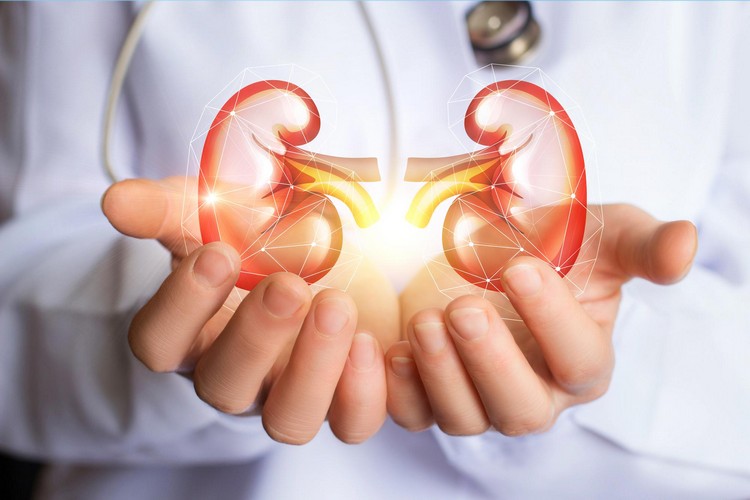 Dieta em caso de insuficiência renal comer uma dieta pobre em sal