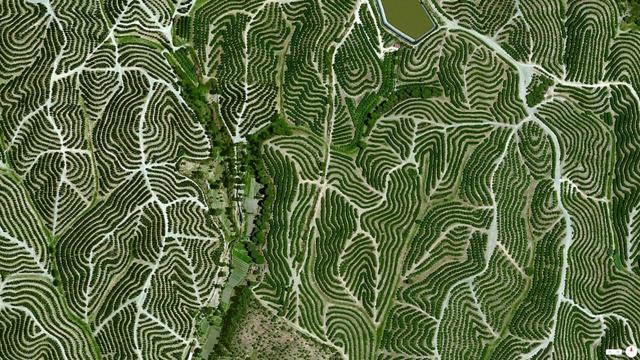 Regiões vinícolas Huelva espanha fotos de satélite interessantes