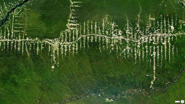 Imagens de satélite da floresta tropical do desmatamento no Brasil