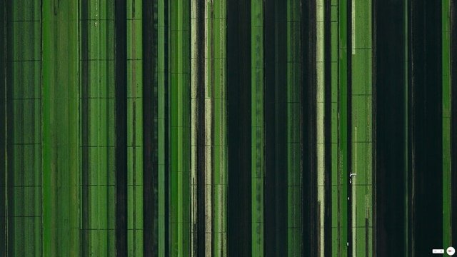 Agricultural Development Loxahatchee Florida USA satélite verde