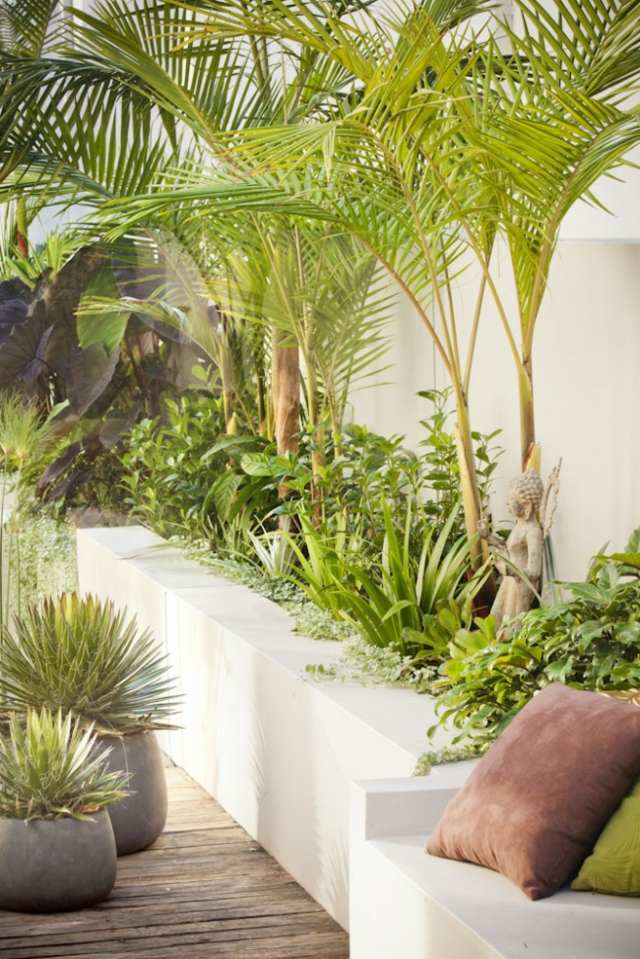 plantar palmeiras verão sol banco de madeira no terraço