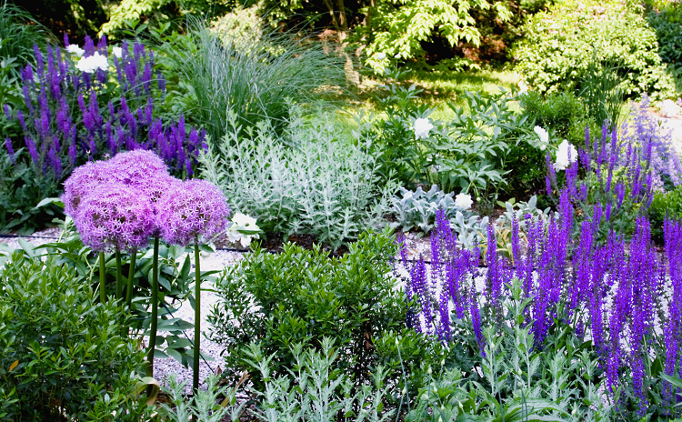 belas combinações de cores paleta de cores de jardim hortênsias