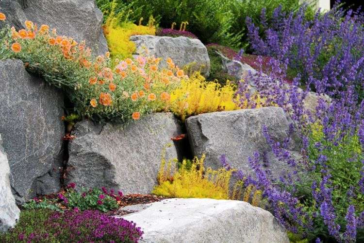 belas combinações de cores de jardim paleta de pedras
