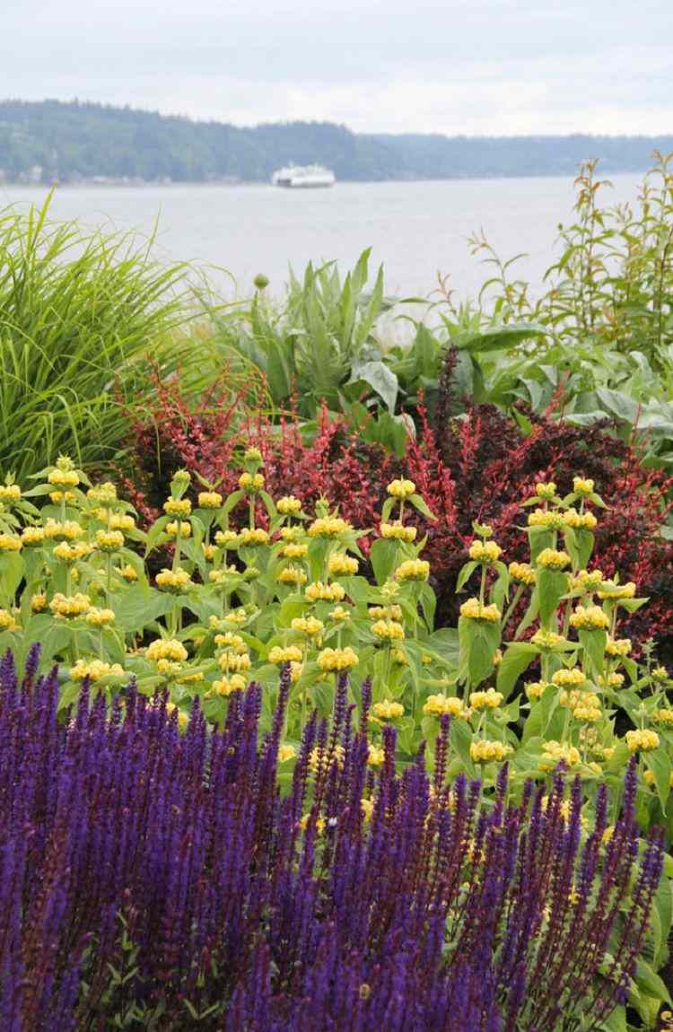 belas combinações de cores jardim paleta de cores verde amarelo roxo vermelho lago