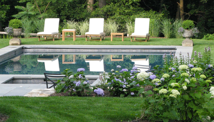 belas combinações de cores jardim paleta de cores hortênsias azul branco piscina