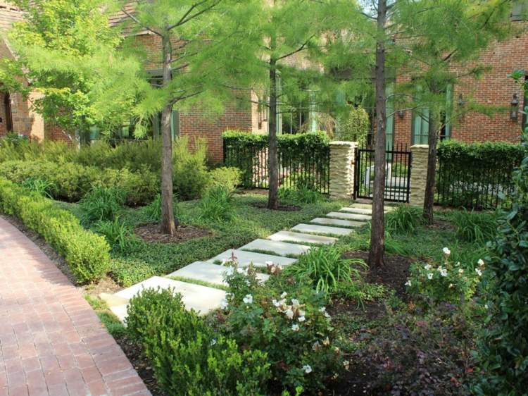 Crie caminhos de jardim reto-ripas-plantas-sebe-buxo
