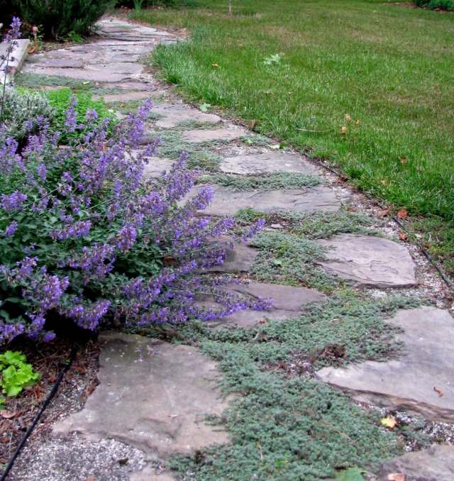 Crie caminhos de jardim em todo o caminho pedonal, degraus individuais curvos