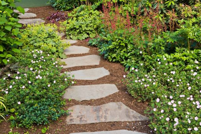 crie caminhos de jardim agradáveis ​​e boas-vindas com muitas dicas de plantas