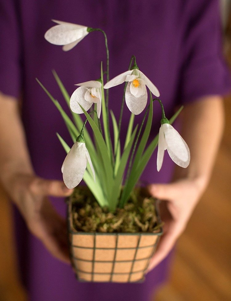 Snowdrops consertar lenços de papel - belo arranjo de flores