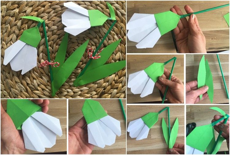 Snowdrops dobram origami fazendo uma haste de um canudo