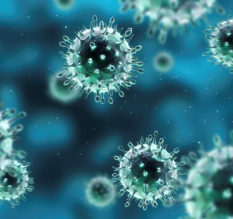 vacinação contra o vírus influenza influenza