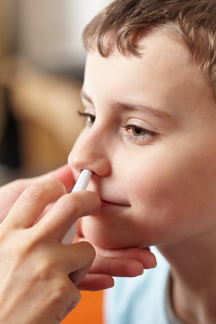 vírus da gripe vacinação nasal spray atenuado