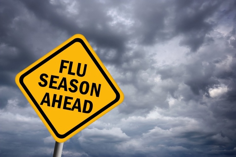 Vacinação contra influenza inverno-temporada-benefício-risco