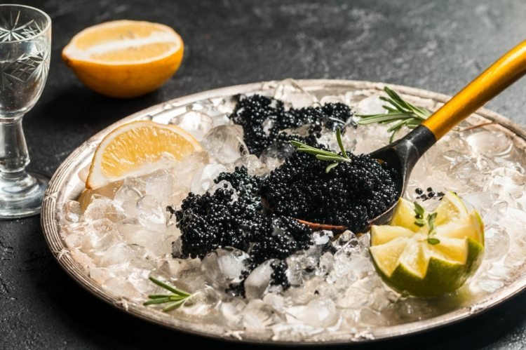 Caviar preto servido em uma cama de limões de gelo Silberbestevk
