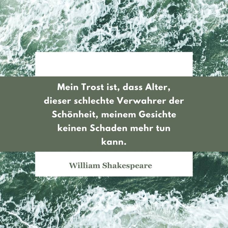 Shakespeare-quotes-wise-aforisms-consolation-age-beauty-male