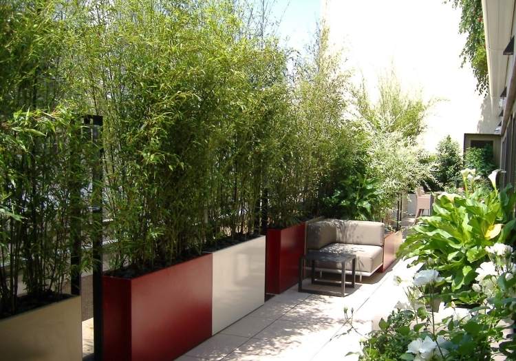 Tela de privacidade-varanda-bambu-plantas-plantador-grande-claro-cores-assentos