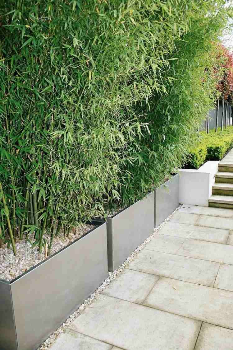 Tela de privacidade-varanda-bambu-plantas-plantador-árvores-grande-decorativo-ladrilhos de concreto