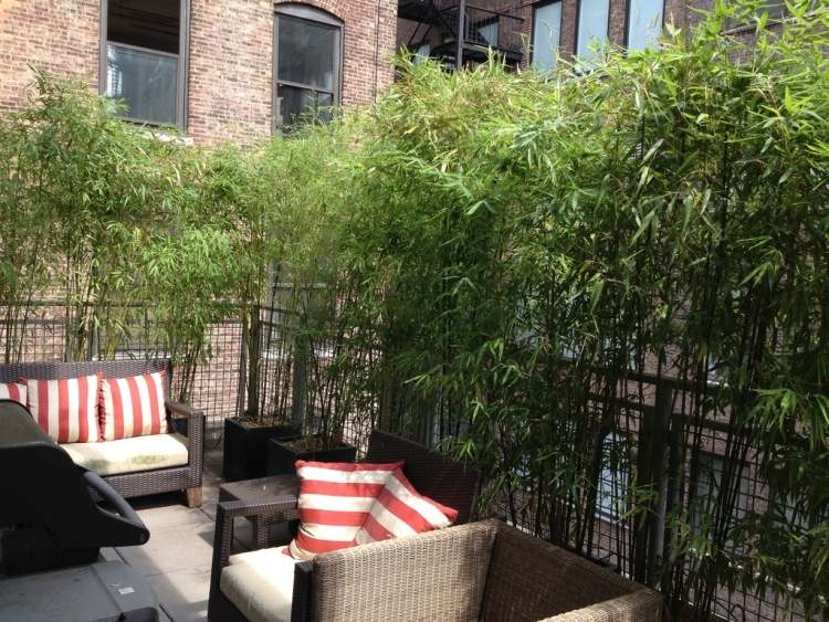 Tela de privacidade-varanda-plantas de bambu-cidade apartamento-móveis de jardim-assento de vime de plástico