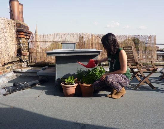 Terraço com tela de privacidade cercado por esteiras de junco