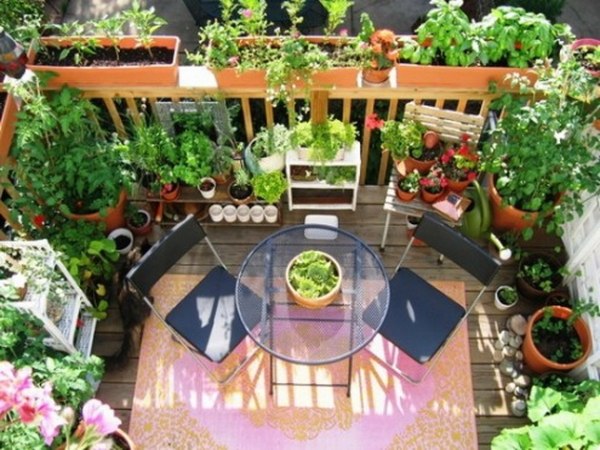 Tela de privacidade para a varanda cercada por plantas densas e verdes