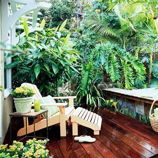 Terraço com proteção de privacidade exuberantes plantas tropicais