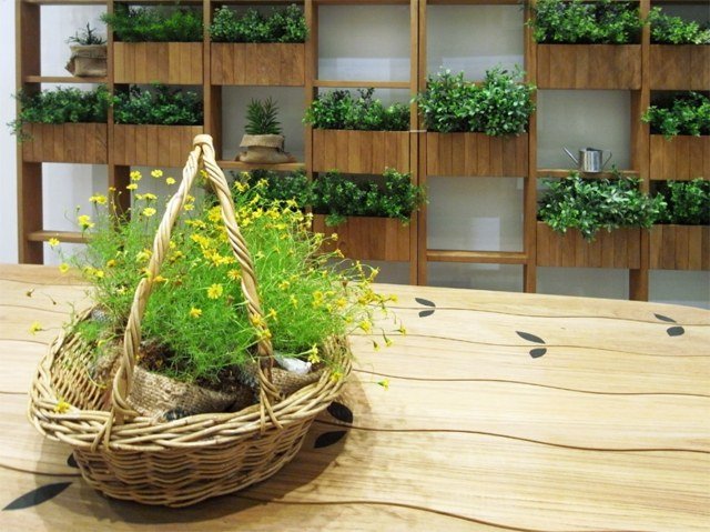 Planter Privacy Screen Succulents Deesawat